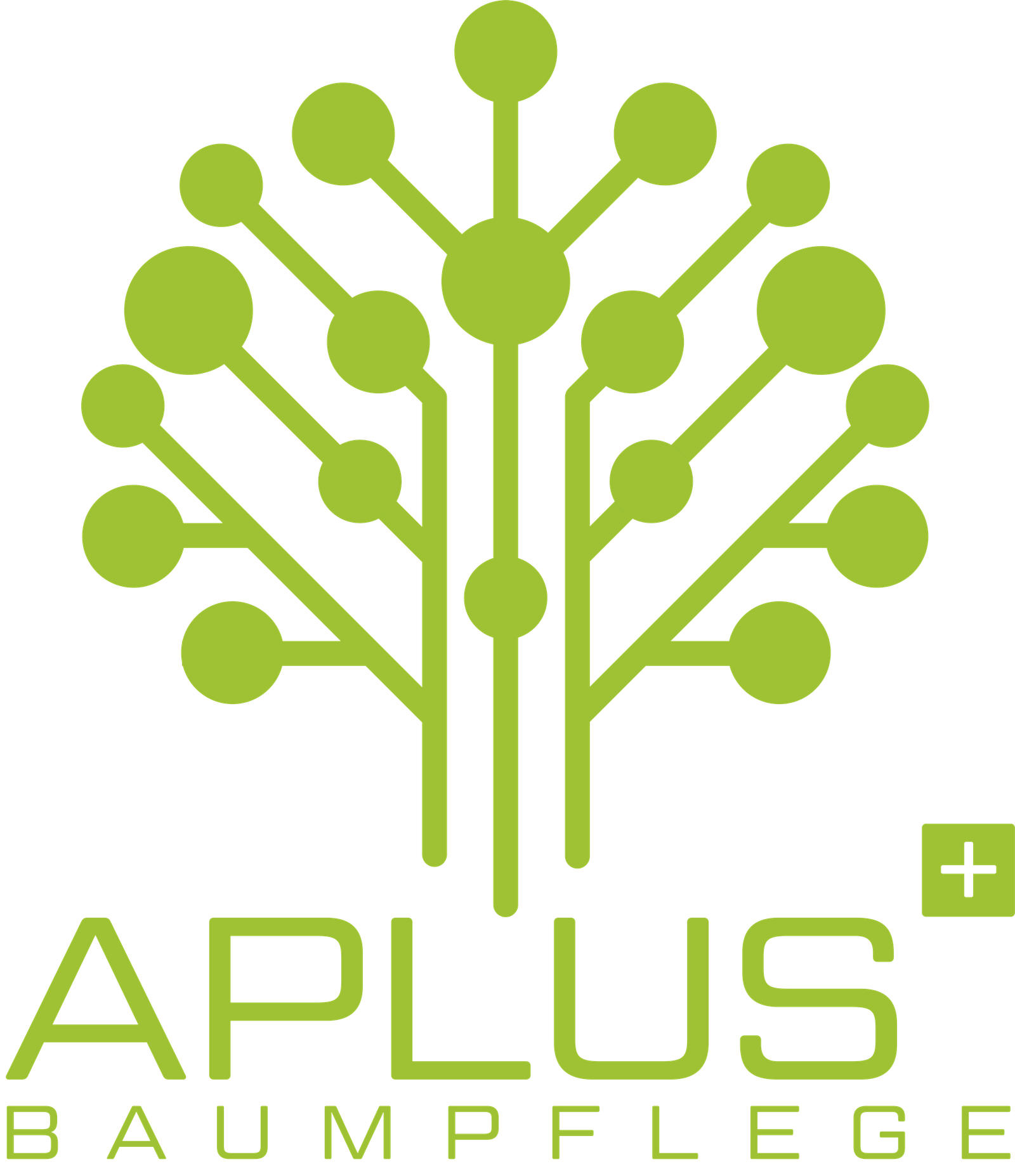 aplus Baumfäller in Berlin und Brandenburg